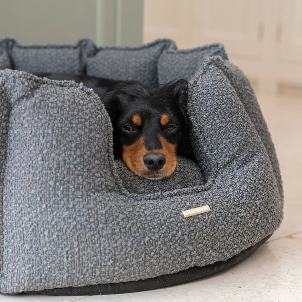 High Wall Bed For Dogs in Boucl