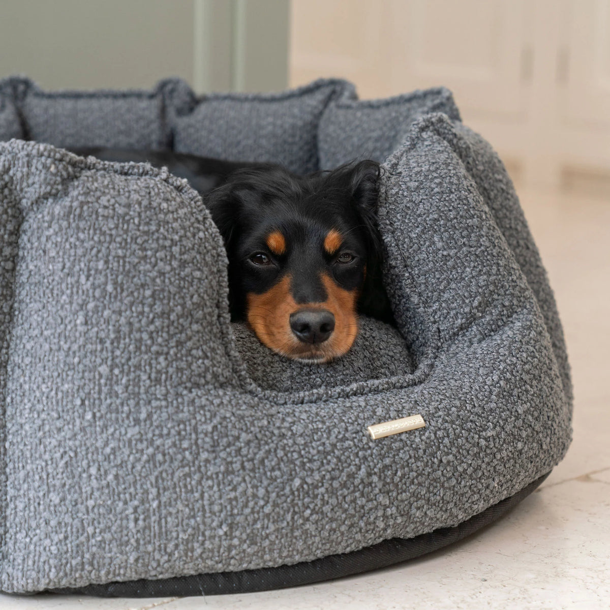 High Wall Bed For Dogs in Boucl