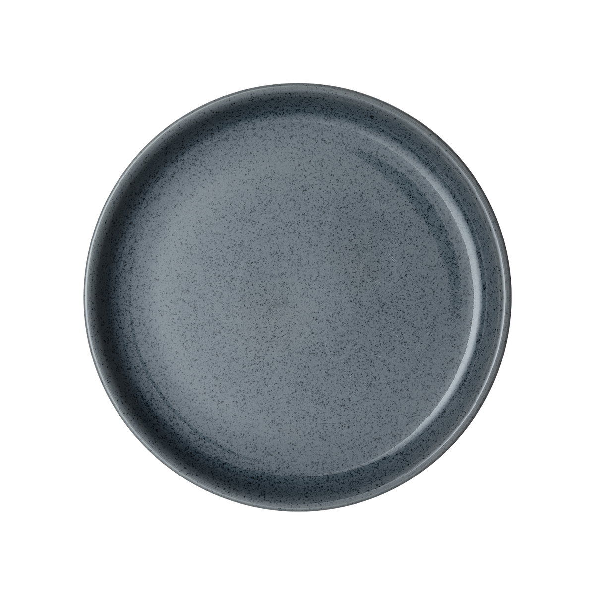 Dark Grey Speckle Coupe Dinner Plate