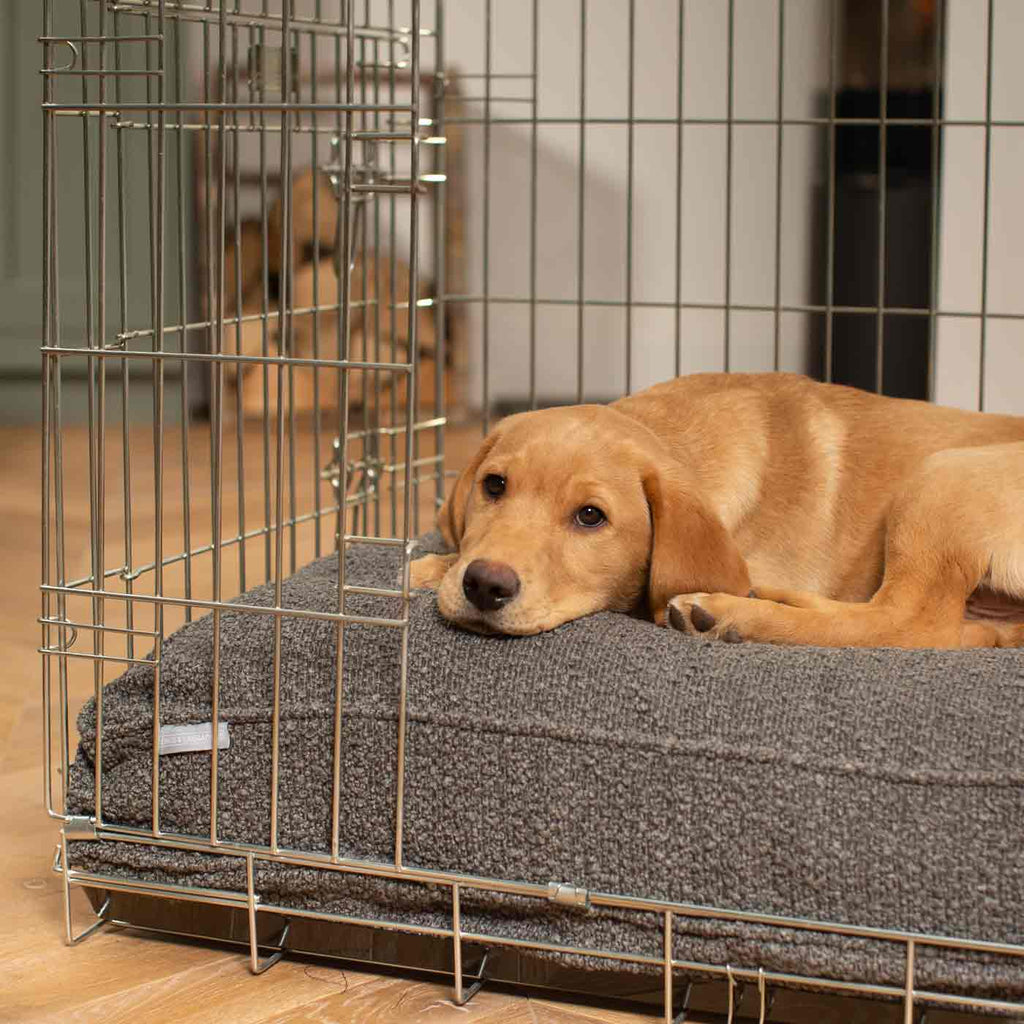 Dog Cushion in Granite Boucl