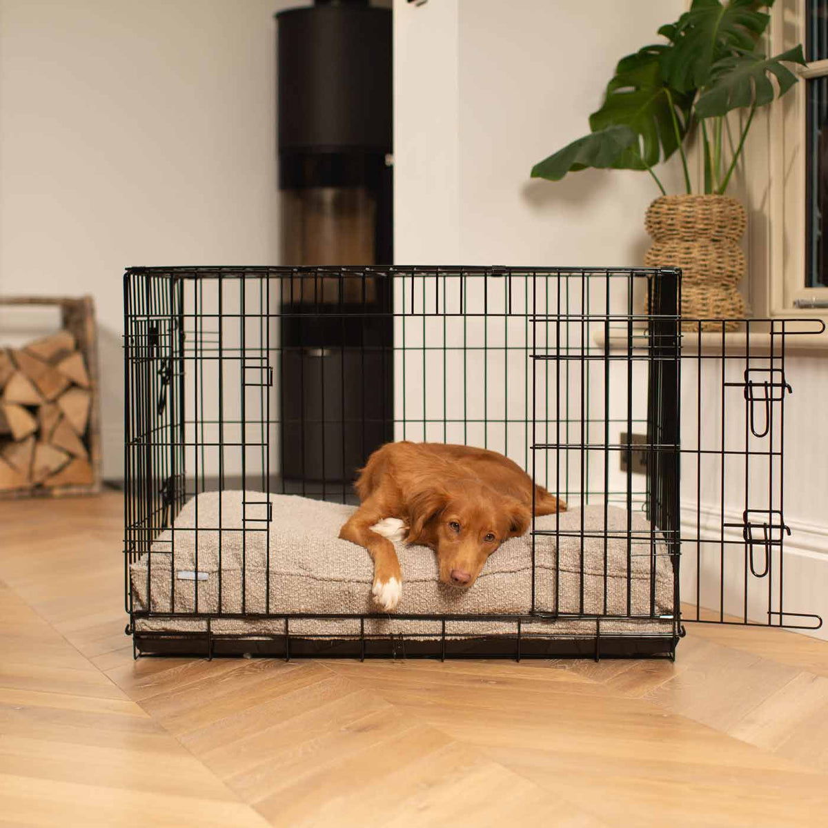 Dog Cushion in Mink Boucl
