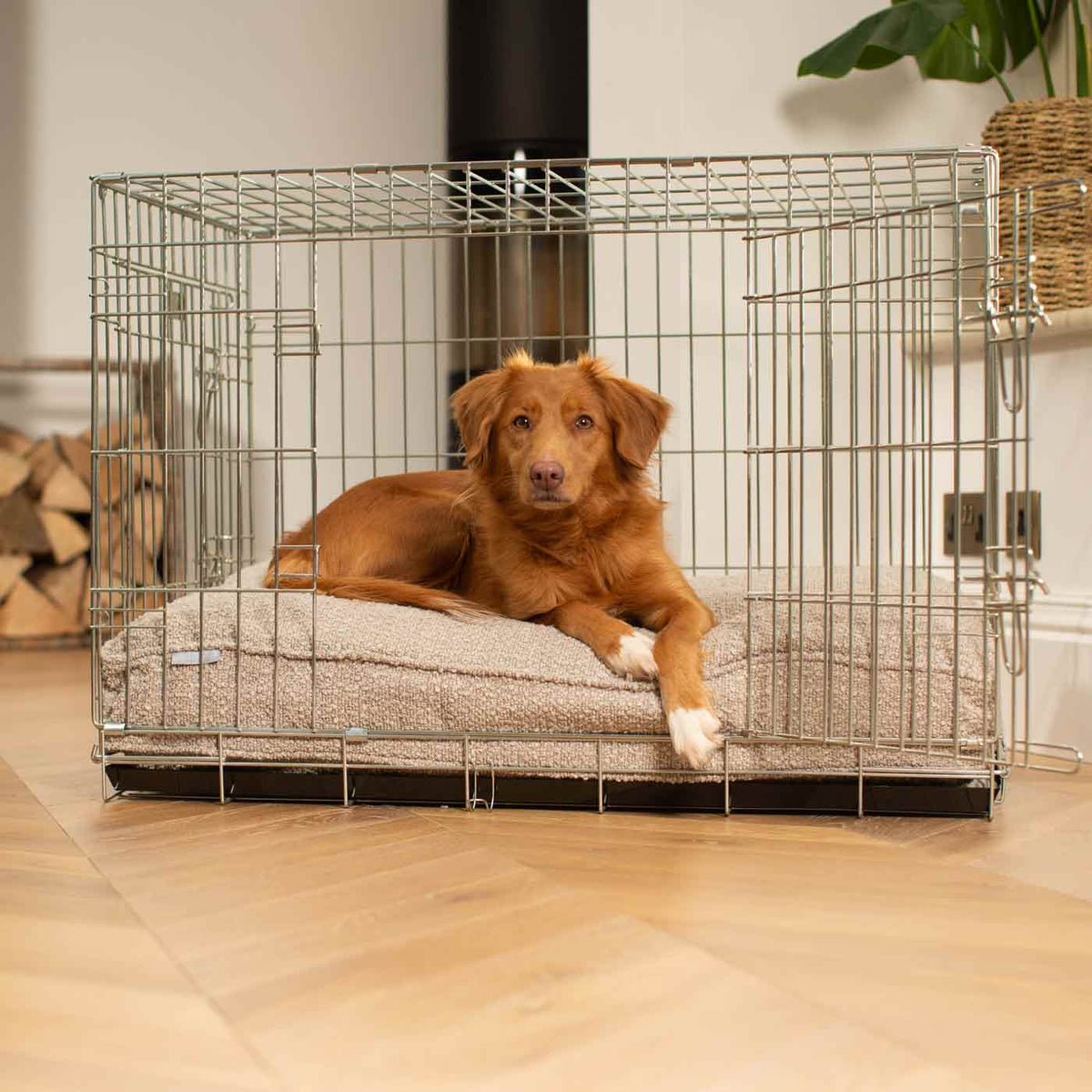 Dog Cushion in Mink Boucl