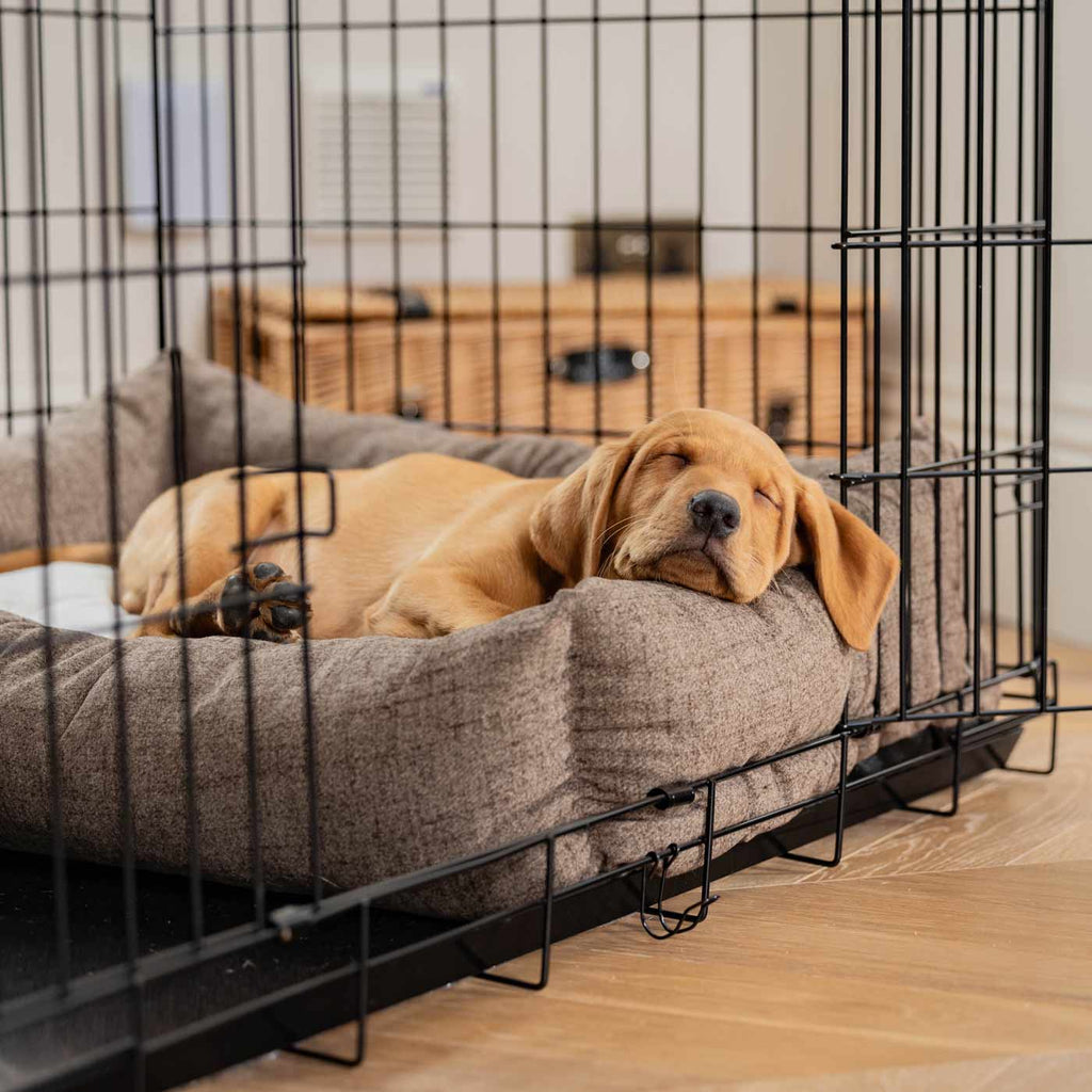 Cozy & Calming Puppy Cage Bed In Inchmurrin Umber