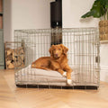 Dog Cushion in Mink Boucl