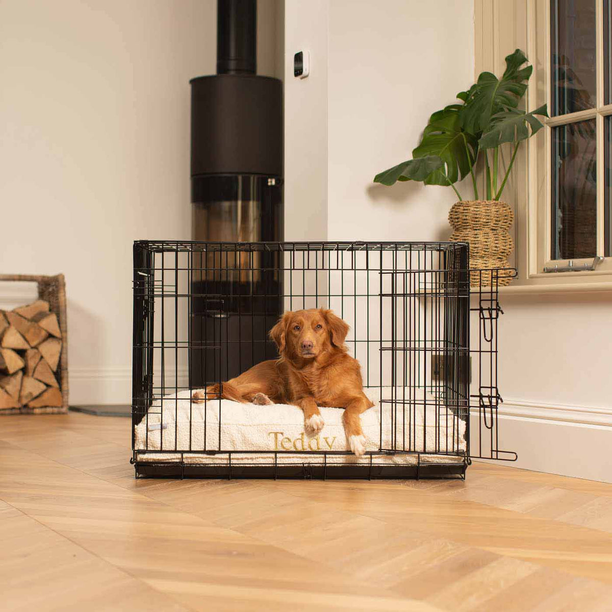 Dog Cushion in Ivory Boucl