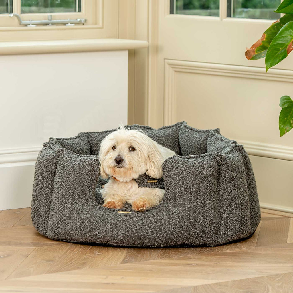 High Wall Bed For Dogs in Boucl