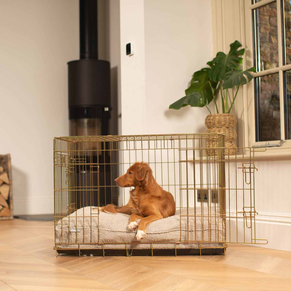 Dog Cushion in Mink Boucl